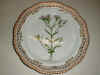 3526 flora danica royal copenhagen plate ..JPG (166580 byte)