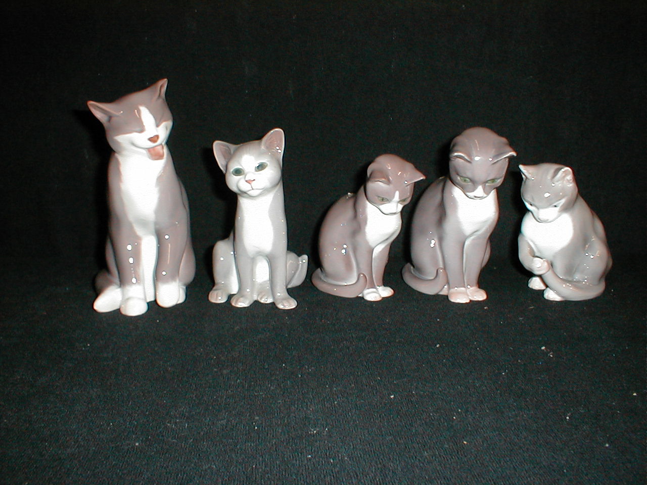 galdeblæren Alvorlig dug KATTE FIGURER CAT FIGURINES PORZELLAN FIGUREN PORCELAIN PORCELÆN ROYAL  COPENHAGEN BING & GRONDAHL DAHL JENSEN LYNGBY PORCELAIN KONGELIGT PORCELÆN  BING OG GRØNDAGL DAHL JENSEN DANISH DANSK