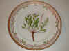 Plate FLora Danica Denmark.JPG (146873 byte)